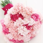 carnations-3_300